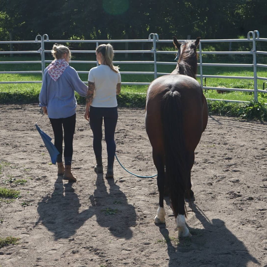 Auf diesem Bild siehst du zwei Frauen, die ein Pferd führen. Sie gehen auf der linken Seite des Pferdes, das Seil hängt durch. Die eine Frau ist bei der anderen eingehakt. Sie lässt sie etwas nachspüren.
