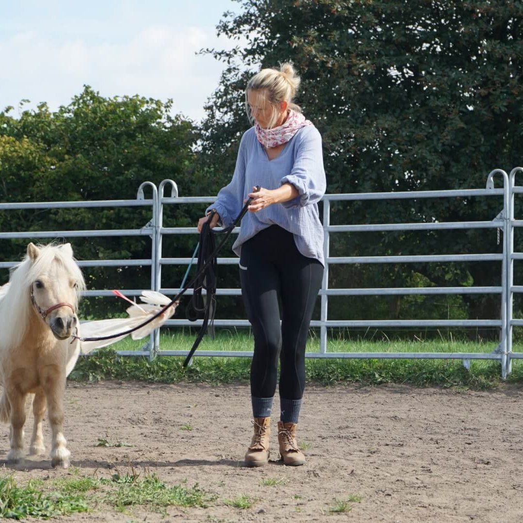 Tanja ist mit dem Minishetty im Training.