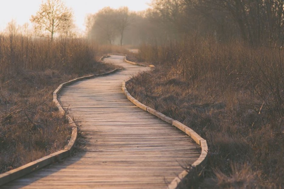 Auf diesem Foto ist ein Weg aus Holz in einer Landschaft abgebildet. Es ist vermutlich Herbst, die Bäume haben kein Laub, alles wirkt bräunlich, auch wenn die Sonne etwas durchscheint.