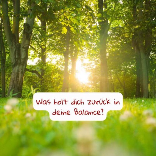 es ist ein Wald abgebildet. Im Hintergrund geht die Sonne auf oder unter und es scheint noch früh im Jahr zu sein, denn das GRas und die Blätter sind "Quitschegrün".