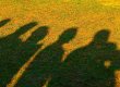Es sind Schattenbilder von Menschen abgebildet. Der Schattenhintergrund ist eine nicht mehr ganz grüne Wiese.