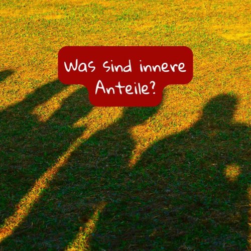 Es sind Schattenbilder von Menschen abgebildet. Der Schattenhintergrund ist eine nicht mehr ganz grüne Wiese.
